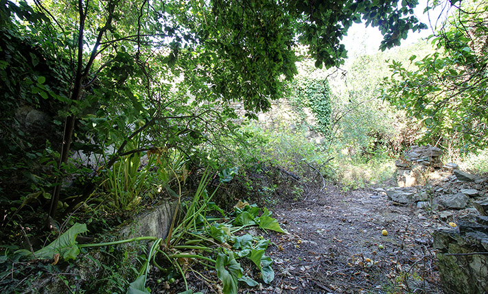 FARM HOUSE IN AN ABANDONED NEIGHBORHOOD