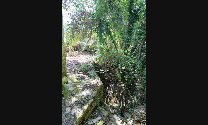 FARM HOUSE IN AN ABANDONED NEIGHBORHOOD