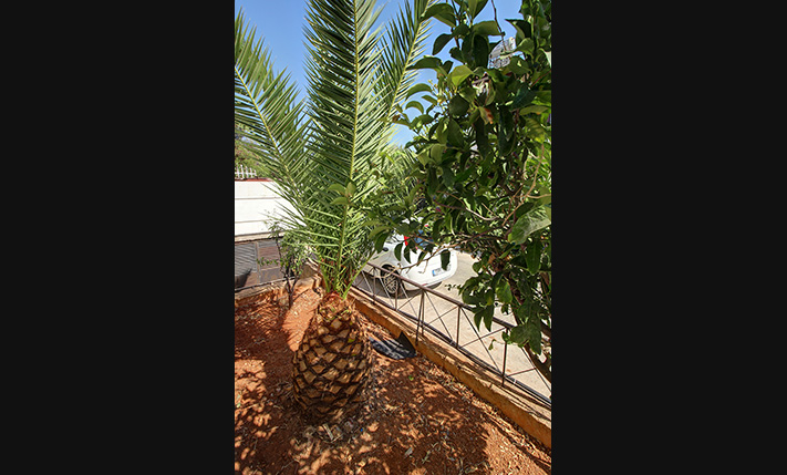 GROUND APT WITH PRIVATE PARKING NEAR THE CITY