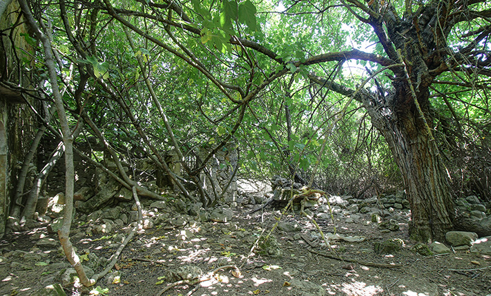 DETACHED WITH POTENTIAL ON A SPACIOUS PLOT