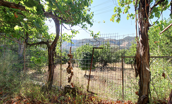 UNFINISHED MIXED-USE BUILDING WITH POTENTIAL