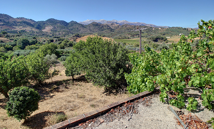 UNFINISHED MIXED-USE BUILDING WITH POTENTIAL