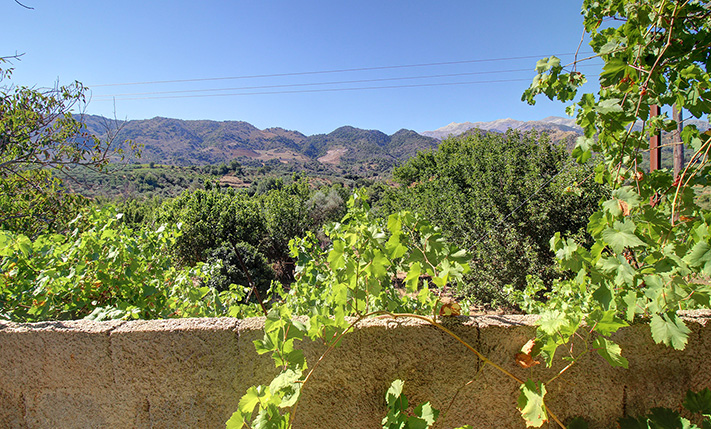 UNFINISHED MIXED-USE BUILDING WITH POTENTIAL