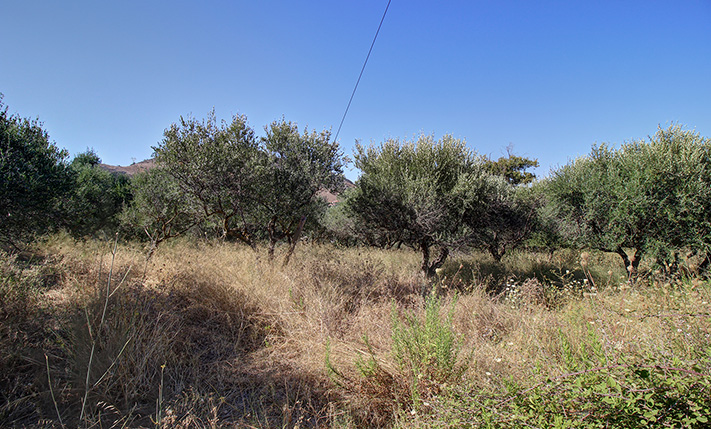 1-LEVEL VILLAGE HOUSE WITH EXTRA BUILDABILITY