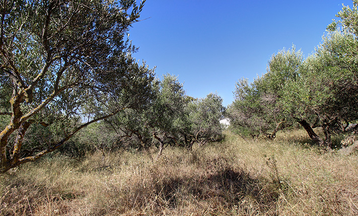 1-LEVEL VILLAGE HOUSE WITH EXTRA BUILDABILITY