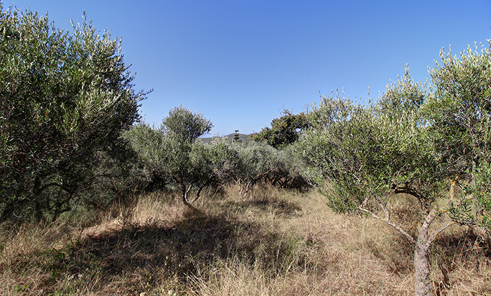 1-LEVEL VILLAGE HOUSE WITH EXTRA BUILDABILITY