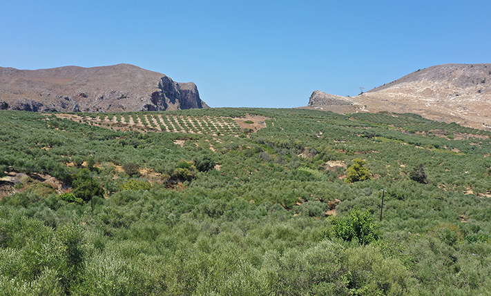 1-LEVEL VILLAGE HOUSE WITH EXTRA BUILDABILITY