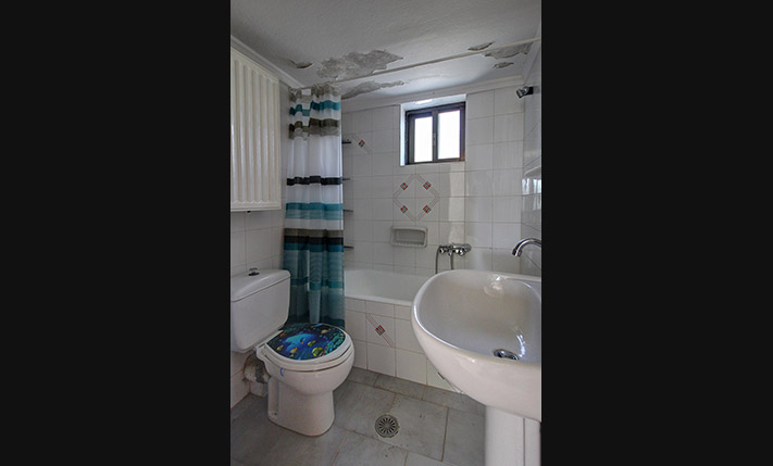 ΔΥΟ ΜΕΓΑΛΑ ΔΙΑΜΕΡΙΣΜΑΤΑ ΜΕ ΕΛΑΙΩΝΑ