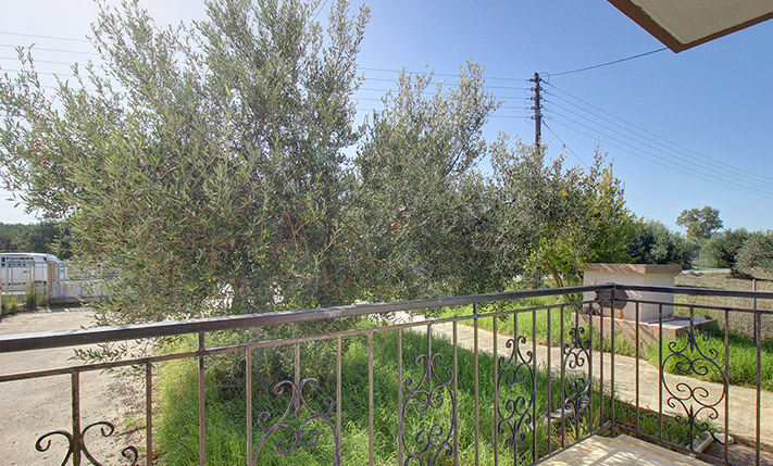 ΔΥΟ ΜΕΓΑΛΑ ΔΙΑΜΕΡΙΣΜΑΤΑ ΜΕ ΕΛΑΙΩΝΑ