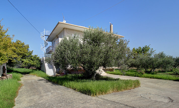 2 SPACIOUS APARTMENTS WITH AN OLIVE GROVE