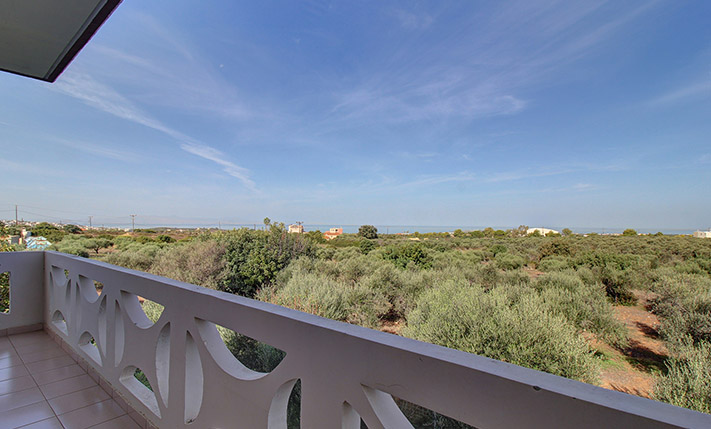 2 SPACIOUS APARTMENTS WITH AN OLIVE GROVE