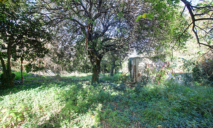 SINGLE-LEVEL RUIN WITH A LEMON TREE GARDEN
