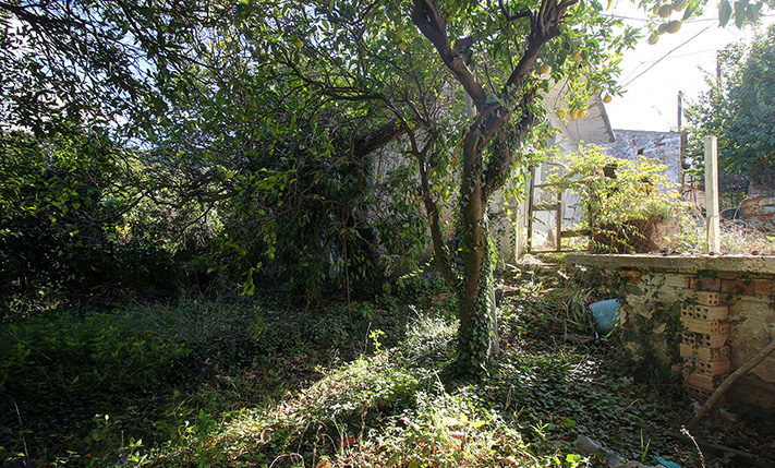 SINGLE-LEVEL RUIN WITH A LEMON TREE GARDEN