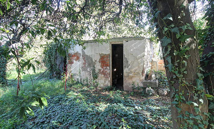 SINGLE-LEVEL RUIN WITH A LEMON TREE GARDEN