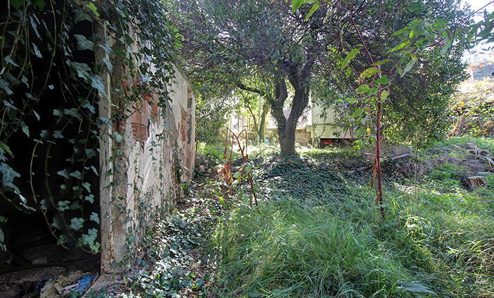 SINGLE-LEVEL RUIN WITH A LEMON TREE GARDEN