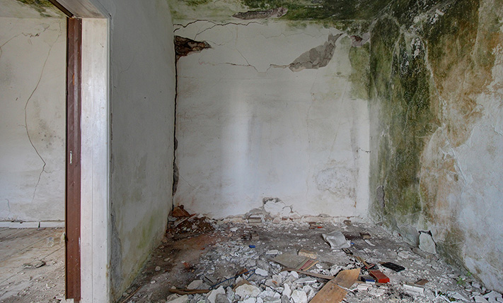 SINGLE-LEVEL RUIN WITH A LEMON TREE GARDEN