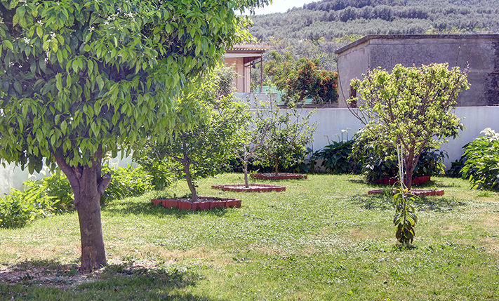 SINGLE-LEVEL HOUSE WITH SPACIOUS GARDENS