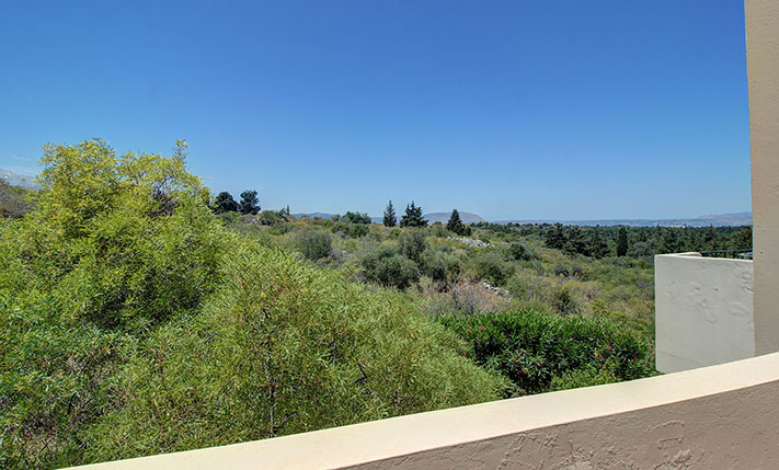 ΣΕ ΠΕΡΙΠΟΙΗΜΕΝΟ ΣΥΓΚΡΟΤΗΜΑ ΜΕ ΜΕΓΑΛΗ ΠΙΣΙΝΑ