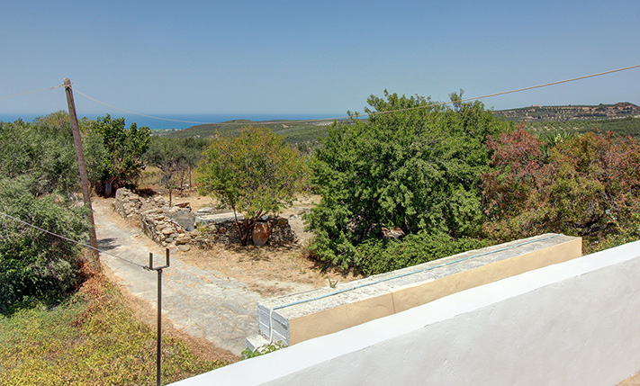 ΓΡΑΦΙΚΗ ΑΓΡΟΙΚΙΑ ΜΕΣΑ ΣΤΟΥΣ ΕΛΑΙΩΝΕΣ