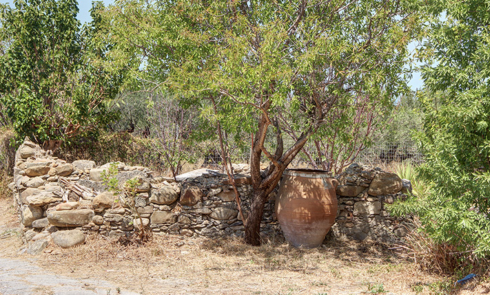 A PICTURESQUE FARM HOUSE IN THE OLIVE GROVES