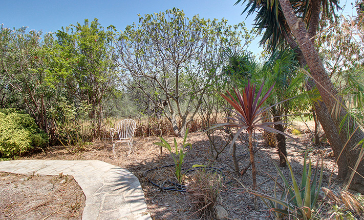 A PICTURESQUE FARM HOUSE IN THE OLIVE GROVES