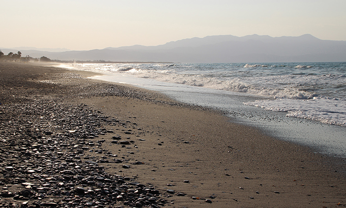 LUXURIOUS BASEMENT WITH GARDEN NEAR THE BEACH
