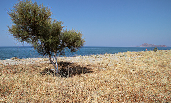 SELF-CONTAINED WITH PRIVATE GARDEN NEAR THE BEACH