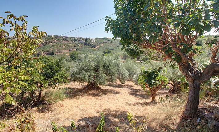 EXPANDABLE SINGLE-LEVEL HOUSE FOR RESTORATION