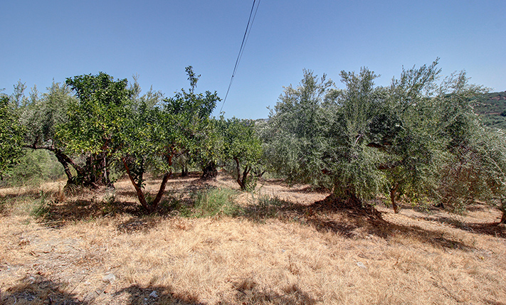 EXPANDABLE SINGLE-LEVEL HOUSE FOR RESTORATION