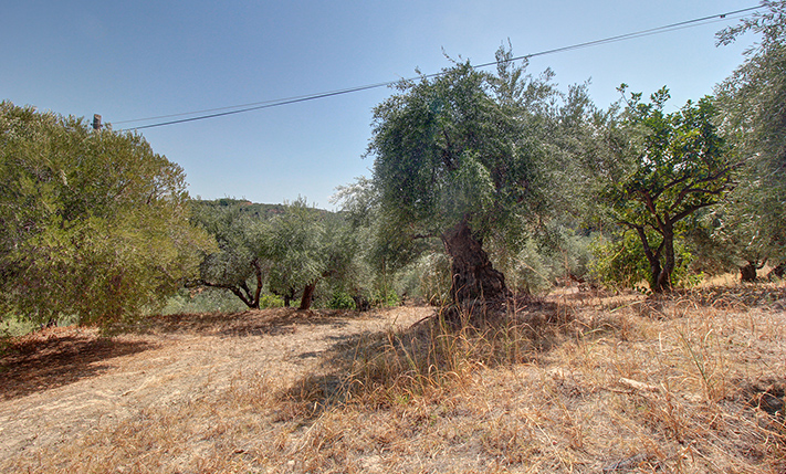EXPANDABLE SINGLE-LEVEL HOUSE FOR RESTORATION
