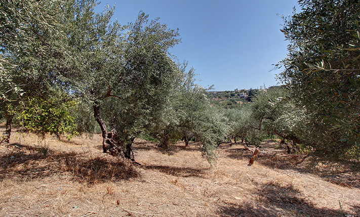 EXPANDABLE SINGLE-LEVEL HOUSE FOR RESTORATION