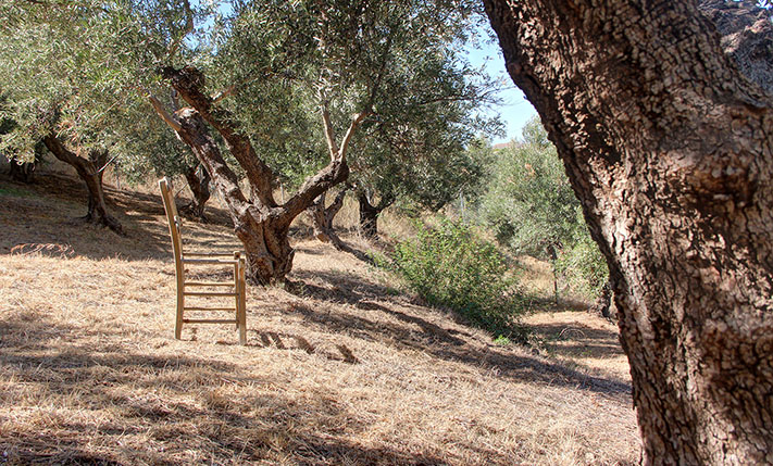 ΣΥΓΧΡΟΝΗ ΟΙΚΙΑ ΕΠΑΝΩ ΑΠΟ ΤΟΝ ΚΟΛΠΟ ΚΙΣΣΑΜΟΥ