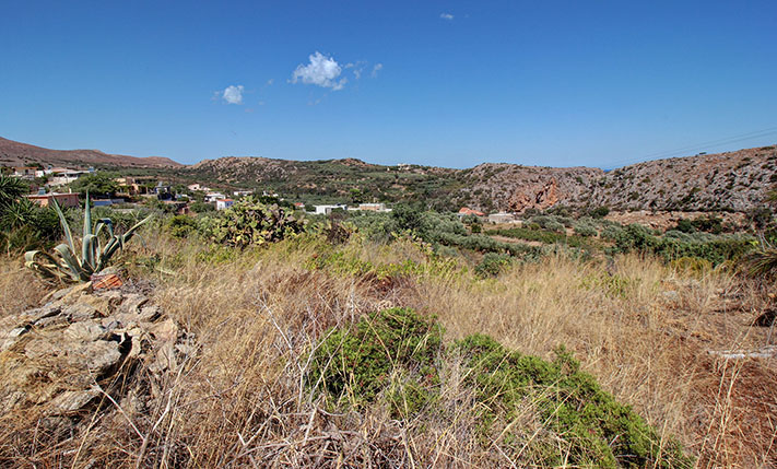 DEVELOPMENT PLOT WITH A SINGLE-LEVEL BUILDING