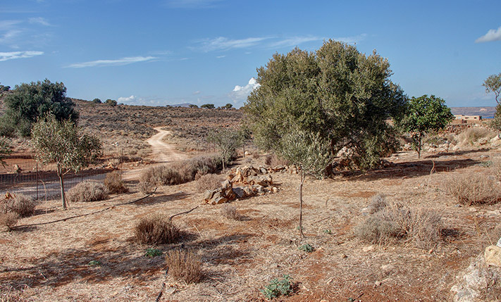 ECO-FRIENDLY VILLA AT THE EDGE OF APOKORONAS