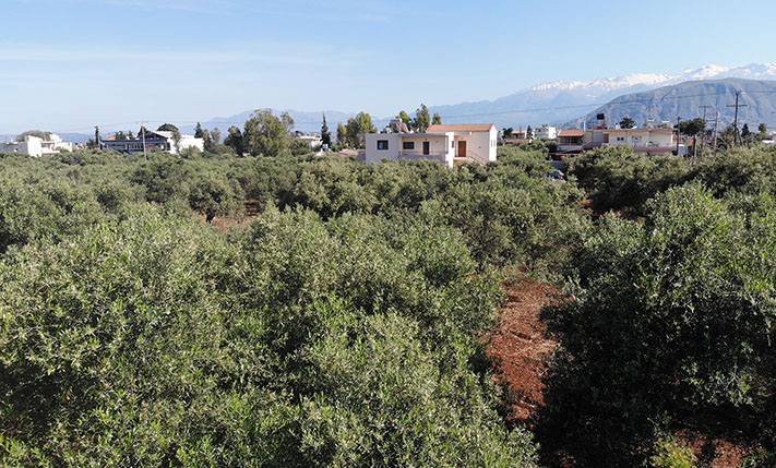 CONTEMPORARY LIVING IN A BRANDED RESIDENCE