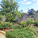 PHS2327 - image 27 PHS2327 - image 27