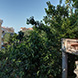 PHS2367 - image 21 PHS2367 - image 21