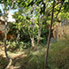 PHS2367 - image 47 PHS2367 - image 47