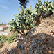 PHS2371 - image 24 PHS2371 - image 24