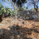 PHS2371 - image 25 PHS2371 - image 25