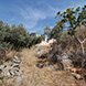 PHS2371 - image 27 PHS2371 - image 27