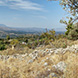 PHS2371 - image 33 PHS2371 - image 33
