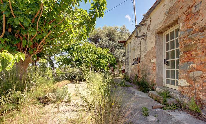 GROUND-LEVEL HOUSE ON A SPACIOUS PLOT