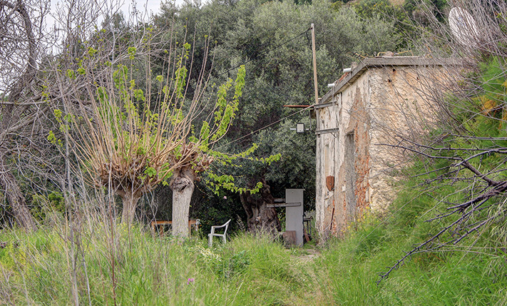 GROUND-LEVEL HOUSE ON A SPACIOUS PLOT
