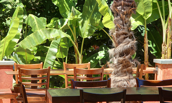 BUSINESS WITH A HIGH POTENTIAL IN DEVELOPING AREA