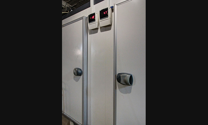 BUSINESS WITH A HIGH POTENTIAL IN DEVELOPING AREA