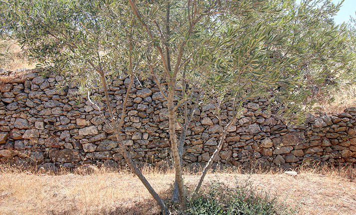 ΕΝΤΟΝΟΣ ΠΑΡΑΔΟΣΙΑΚΟΣ ΧΑΡΑΚΤΗΡΑΣ & ΑΠΛΕΤΟΙ ΧΩΡΟΙ