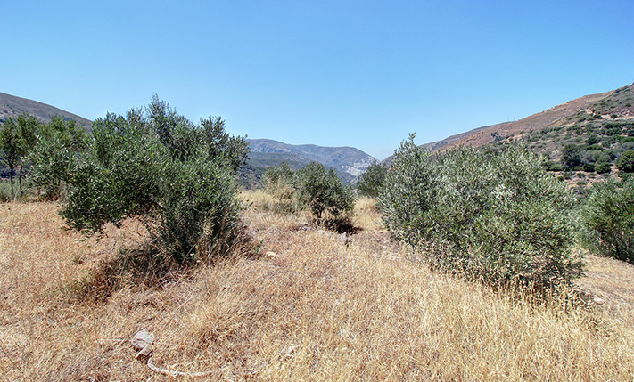 ΕΝΤΟΝΟΣ ΠΑΡΑΔΟΣΙΑΚΟΣ ΧΑΡΑΚΤΗΡΑΣ & ΑΠΛΕΤΟΙ ΧΩΡΟΙ