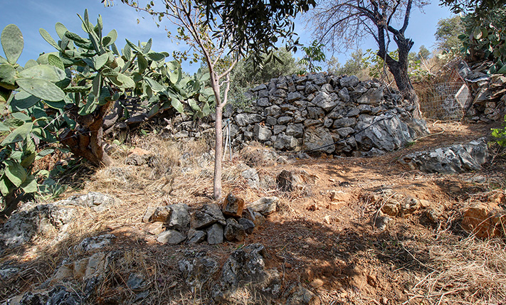 AN UNOBSTRUCTED SPOT UNDER THE WHITE MOUNTAINS