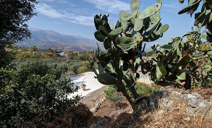 AN UNOBSTRUCTED SPOT UNDER THE WHITE MOUNTAINS